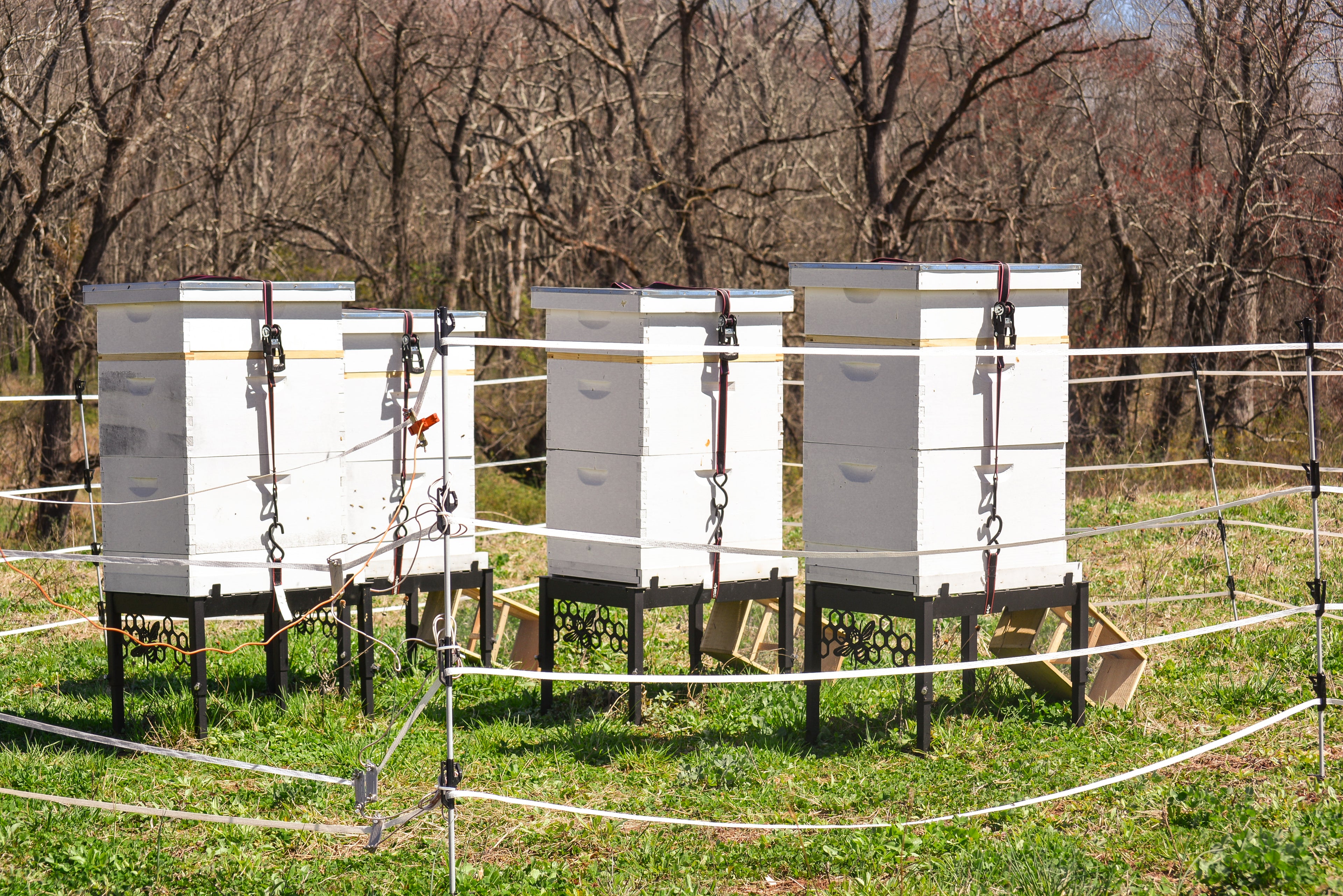 Beehives behind electric fence in a field