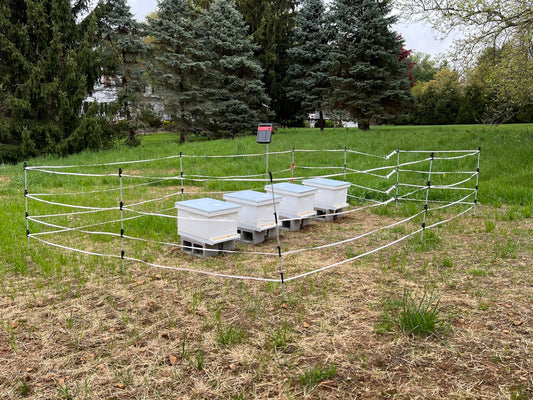 Beehive Electric Bear Fence